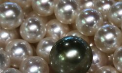 PRECIEUSES PERLES