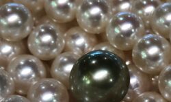 PRECIEUSES PERLES